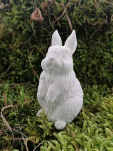 Zajíček ušák k domalování