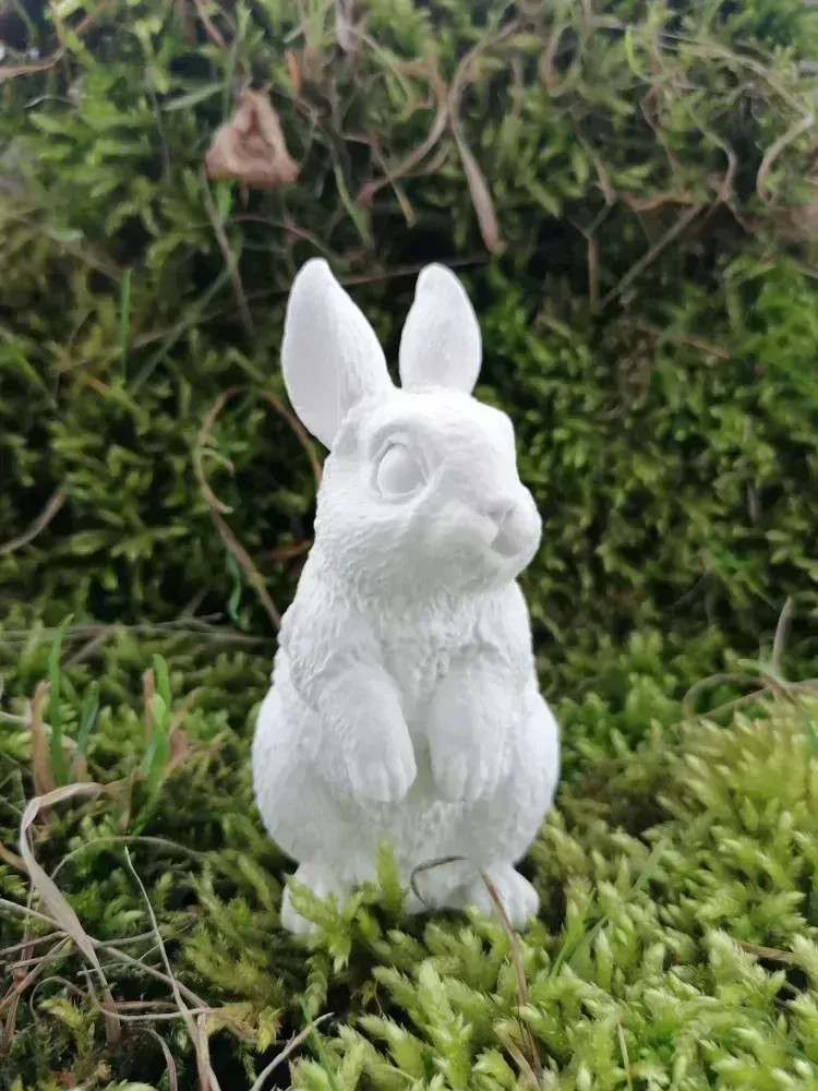 Zajíček ušák k domalování