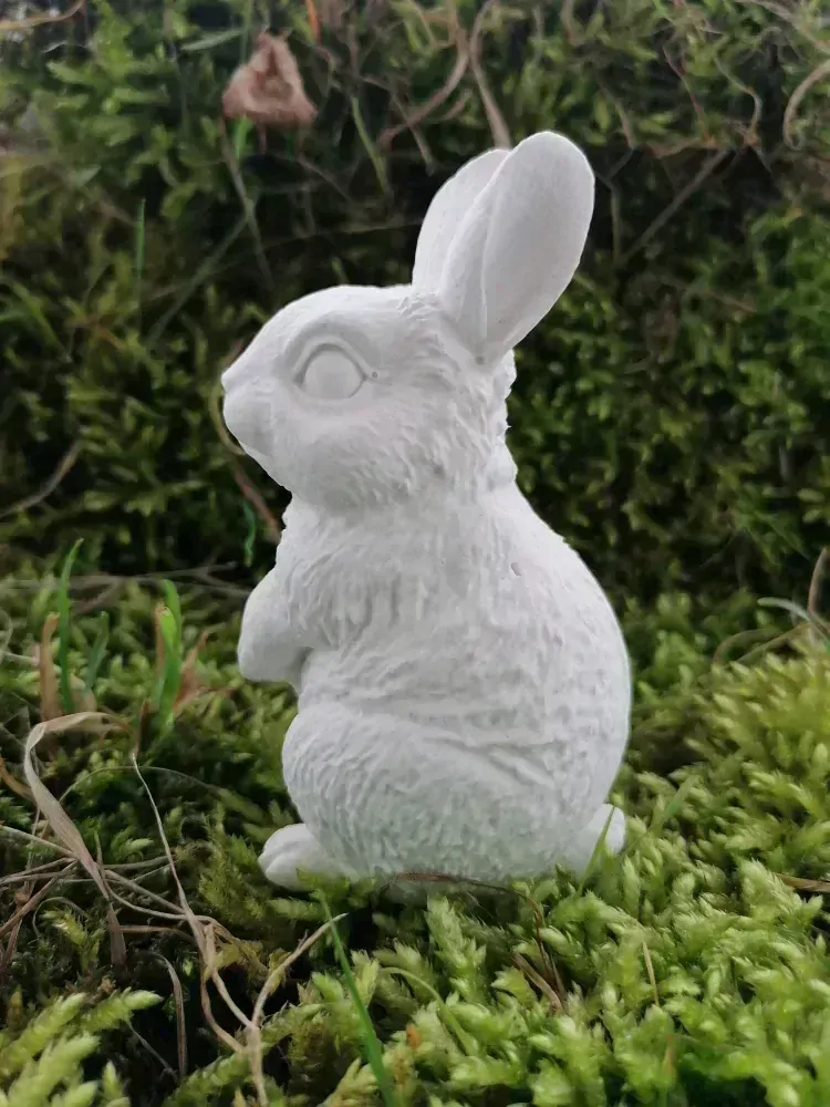 Zajíček ušák k domalování